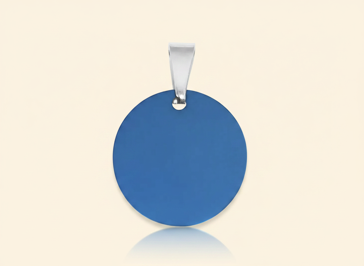 Ronde blanco huisdierpenning van gepolijst roestvrij staal, blauw