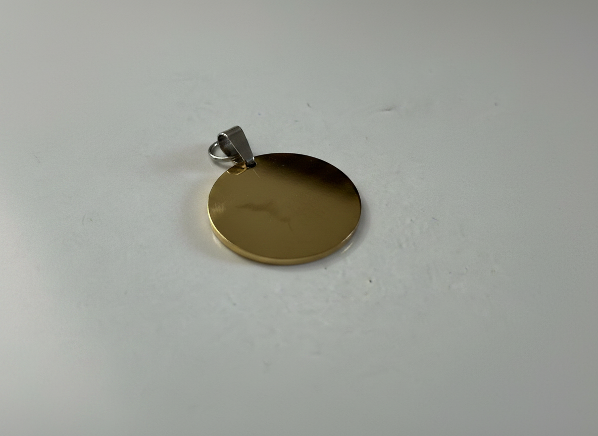 Ronde blanco huisdierpenning van RVS, 3 maten