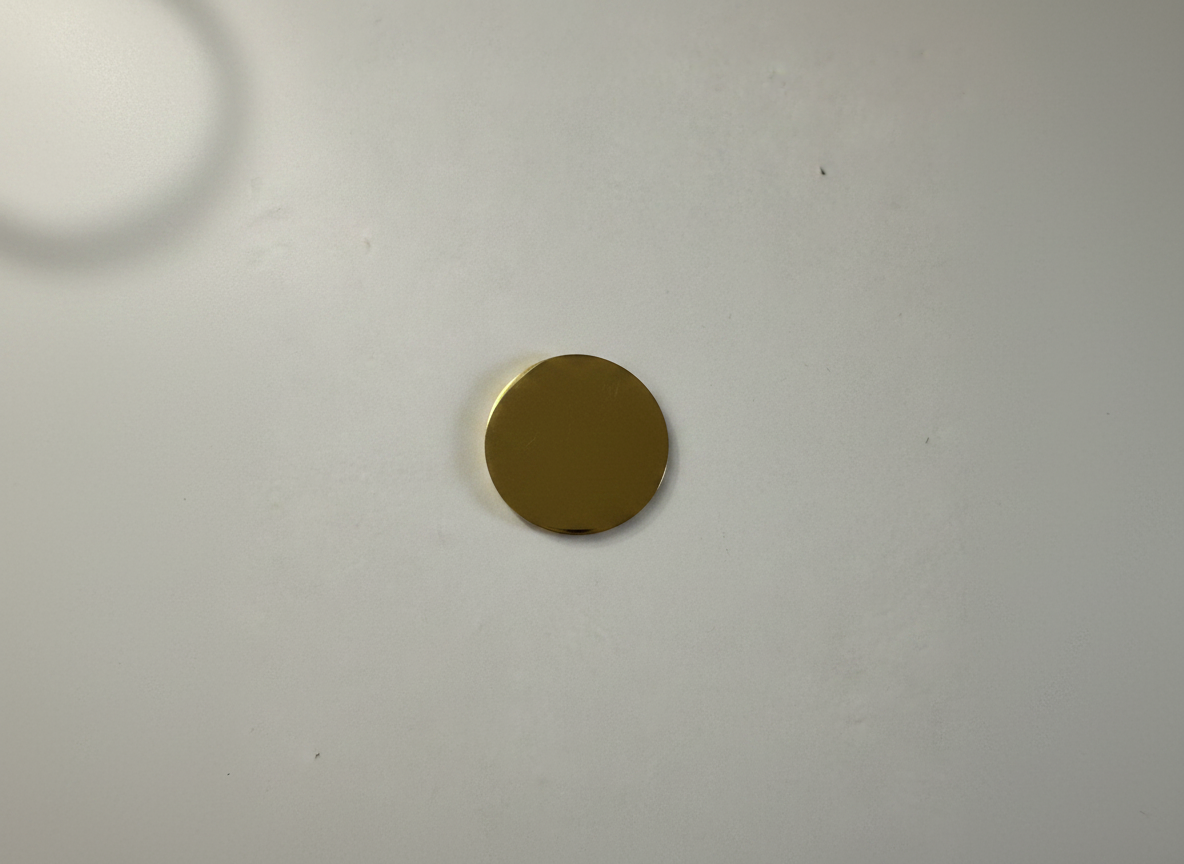 Ronde blanco huisdierpenning van RVS, 3 maten